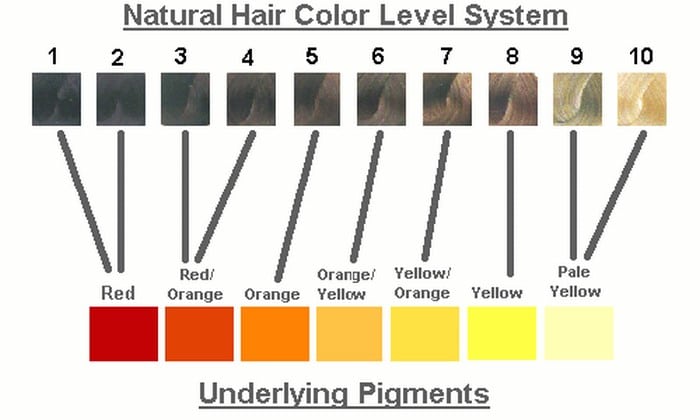 Red Hair Colours Chart. shades in our hair color